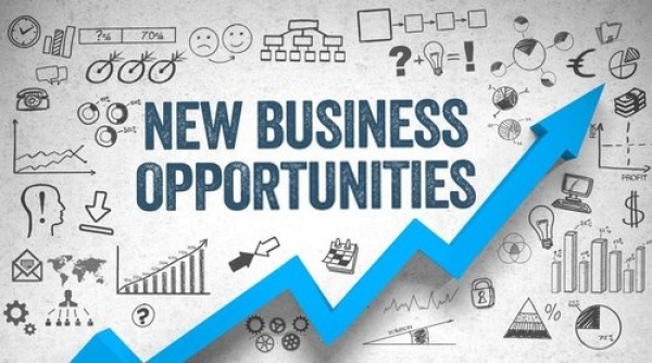 How to identify lucrative business opportunities?