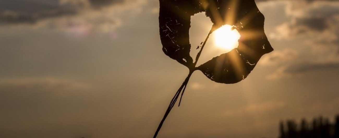 When Failure Repeats, Look Within